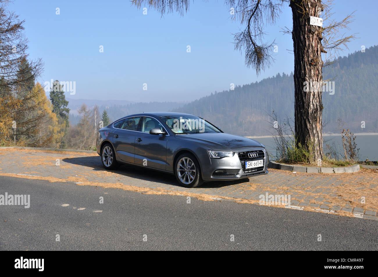 Audi A5 Sportback - MA 2007 (FL 2012) - L'Allemand premium limousine classe moyenne supérieure (segment D) Banque D'Images