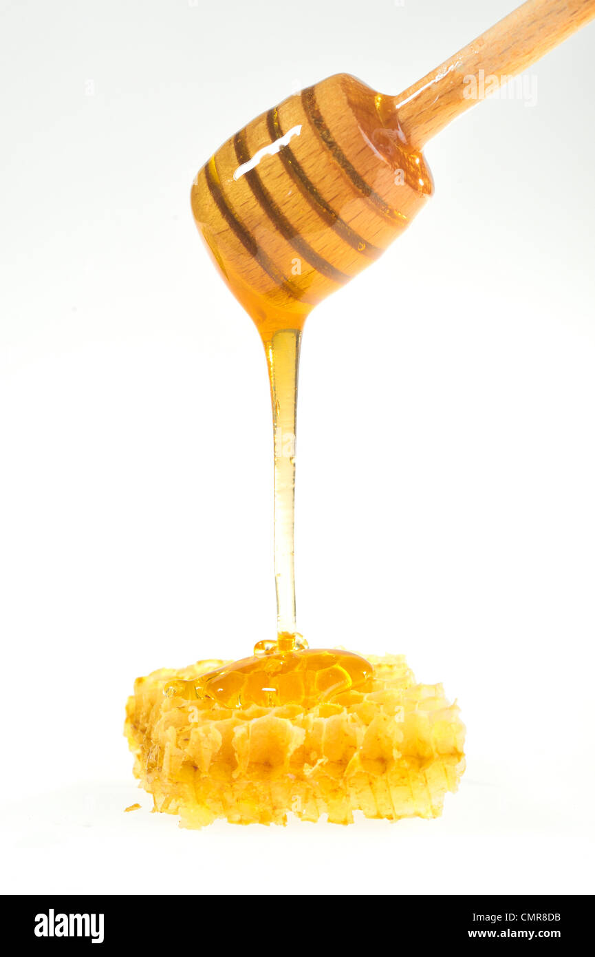 nid d’abeille Banque D'Images