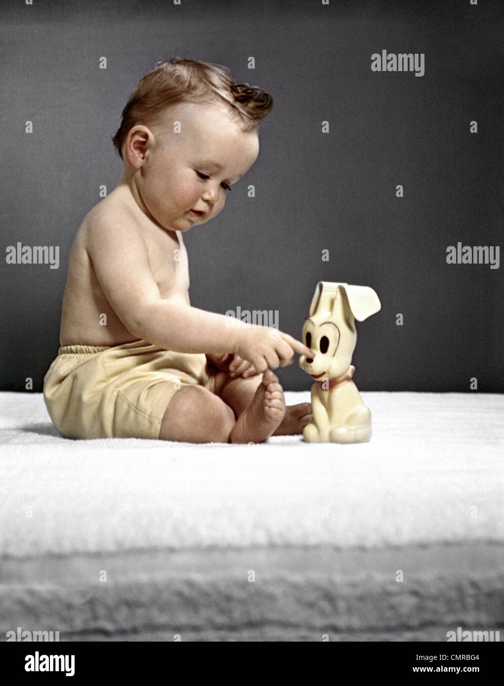 Années 1940 Années 1950 BABY SITTING TOUCHER TOY DOG Banque D'Images