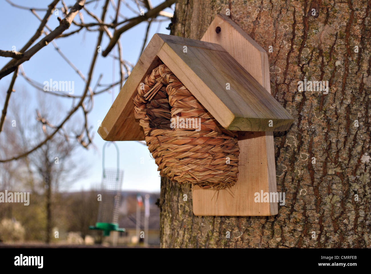 boîte oiseau en osier Banque D'Images