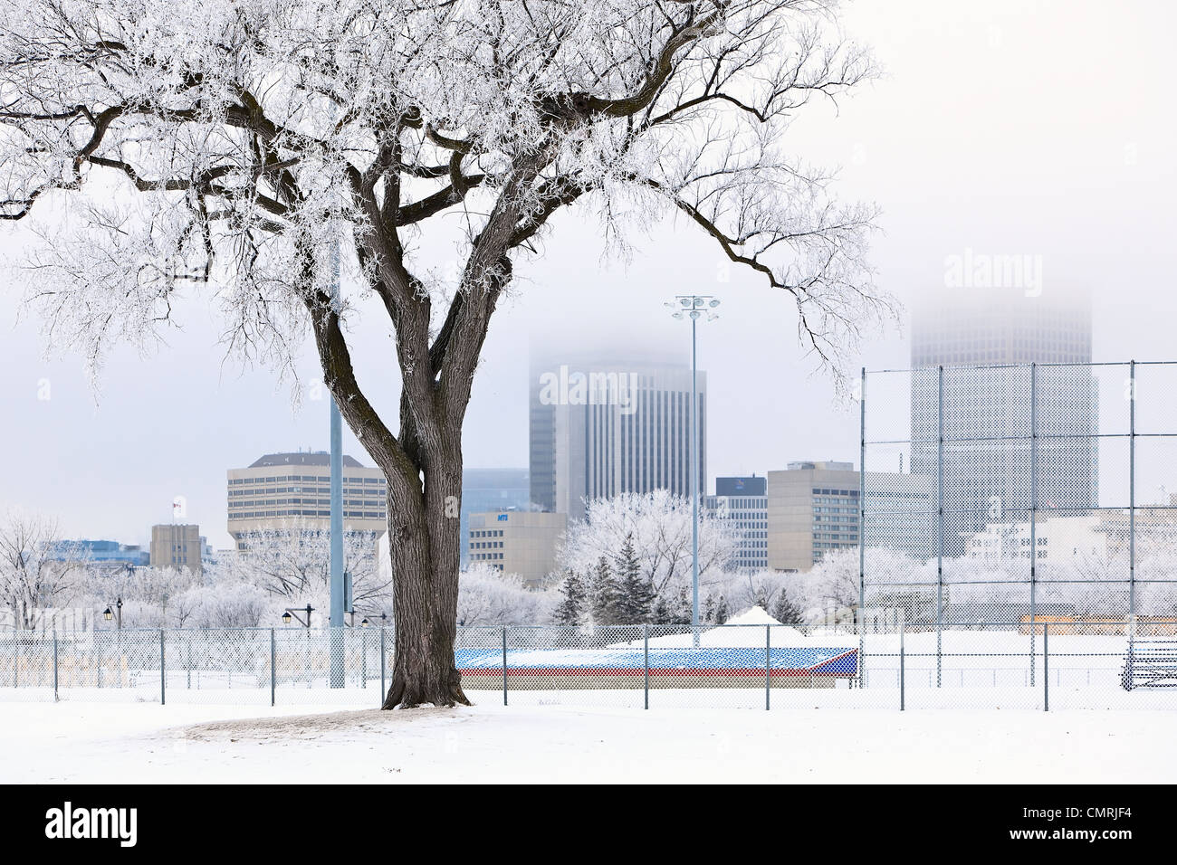 Jour d'hiver glacial, Whittier Park, centre-ville à distance, Winnipeg, Manitoba, Canada Banque D'Images