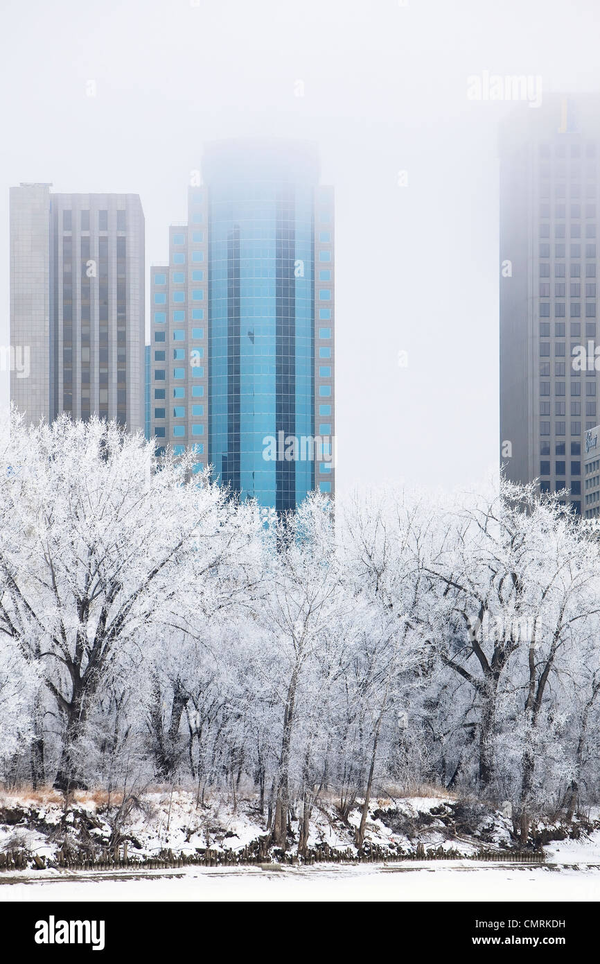 Le centre-ville et les arbres couverts de givre sur journée d'hiver, Winnipeg, Manitoba Banque D'Images