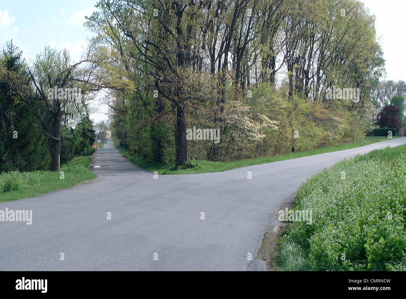 La fourche DE DEUX CHEMINS COUNTRY ROAD Banque D'Images