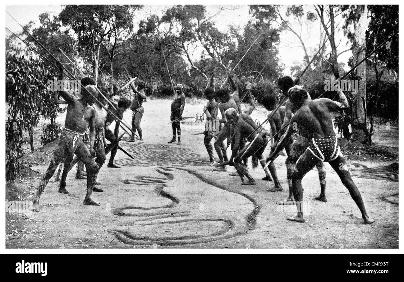 1919 cérémonies autochtones spearing l'alligator Australie Banque D'Images