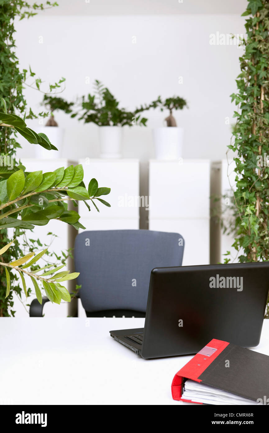 Bureau avec un grand nombre de plantes Banque D'Images