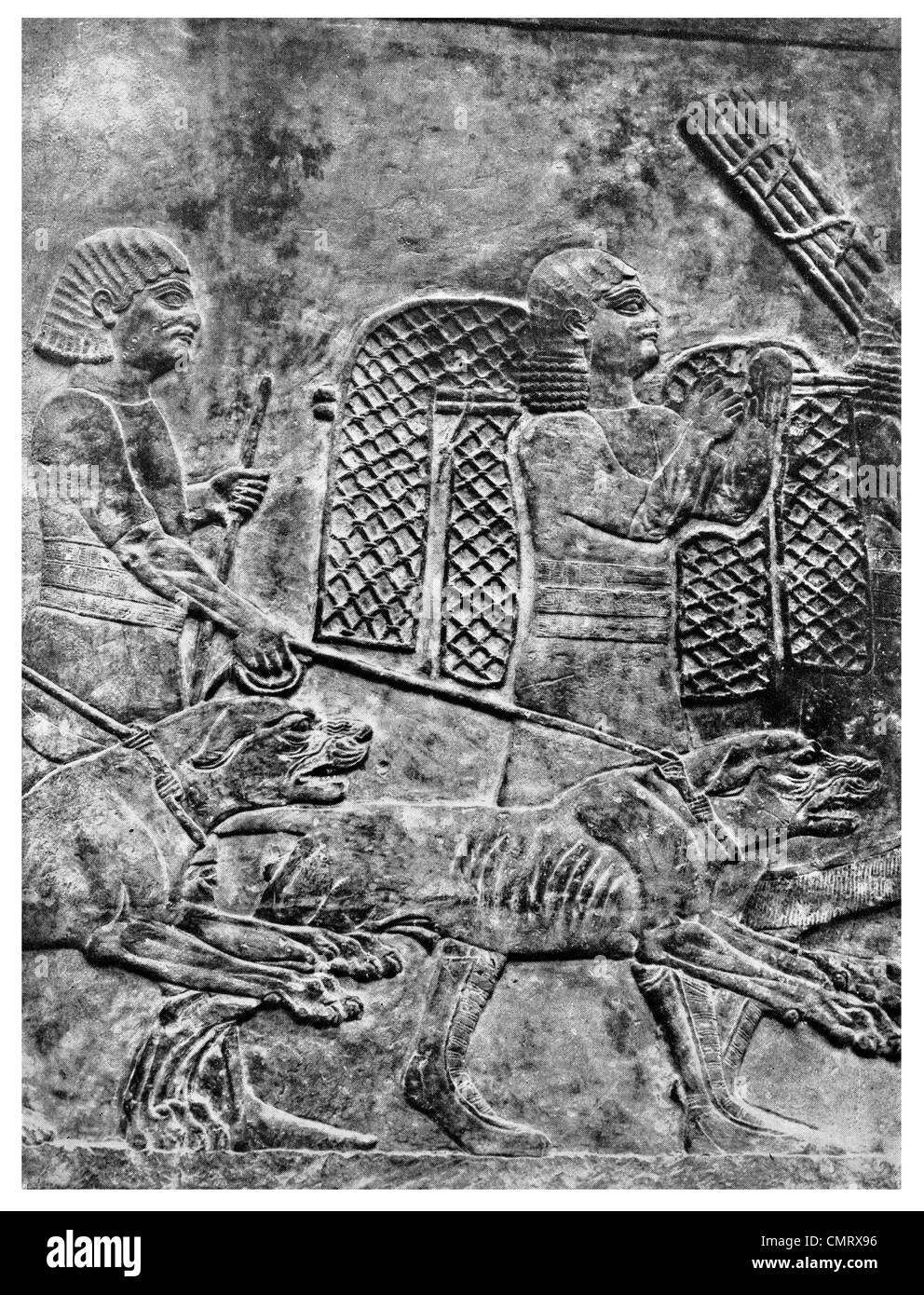 1919 Ninive en bas-relief Les chiens de chasse les chiens d'Assurbanipal le grand monarque d'Assyrie Banque D'Images