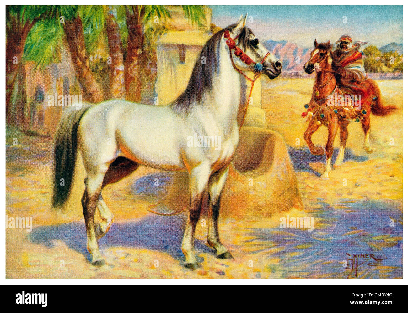 Cheval Arabe 1923 Banque D'Images