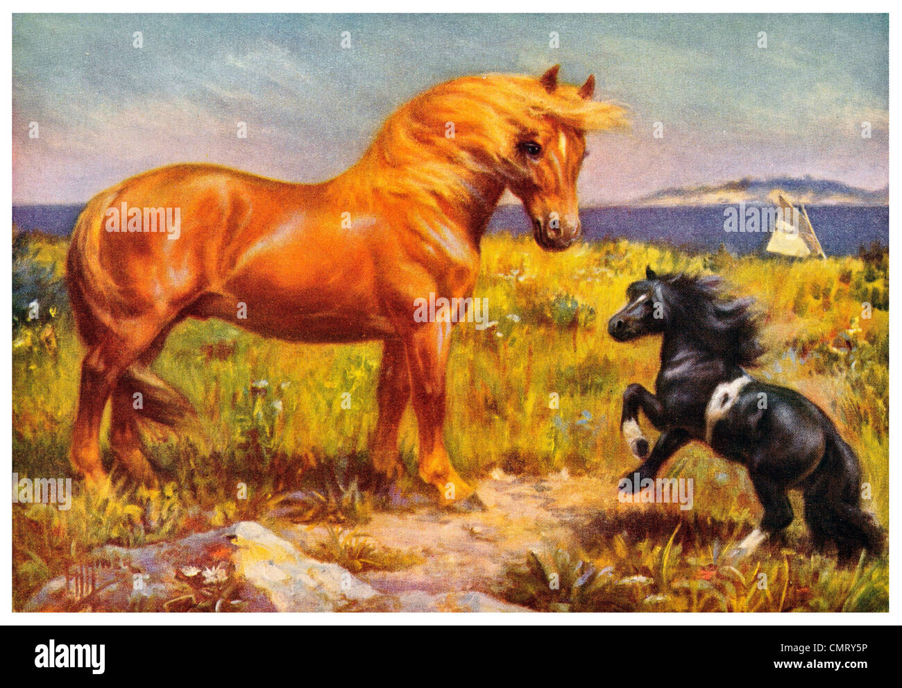 1923 Cheval de Suffolk Banque D'Images