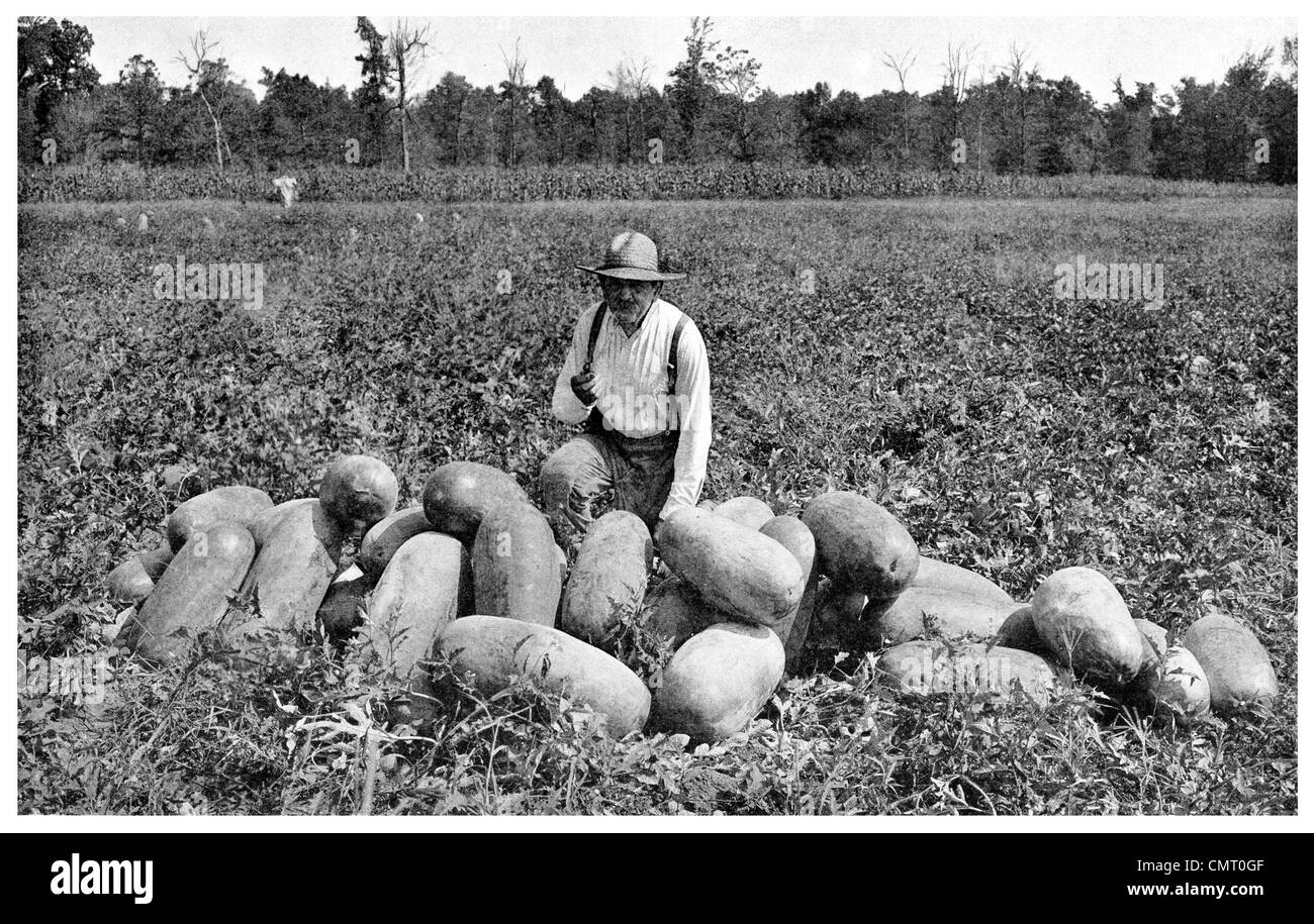 Missouri 1923 Cucurbitacées Melon agriculteur ferme Banque D'Images