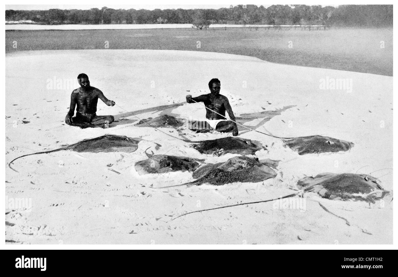 1924 Stingray Hunter autochtones de la côte nord-ouest de l'Australie à l'île de harponner dimanche Napier Broome Bay Banque D'Images