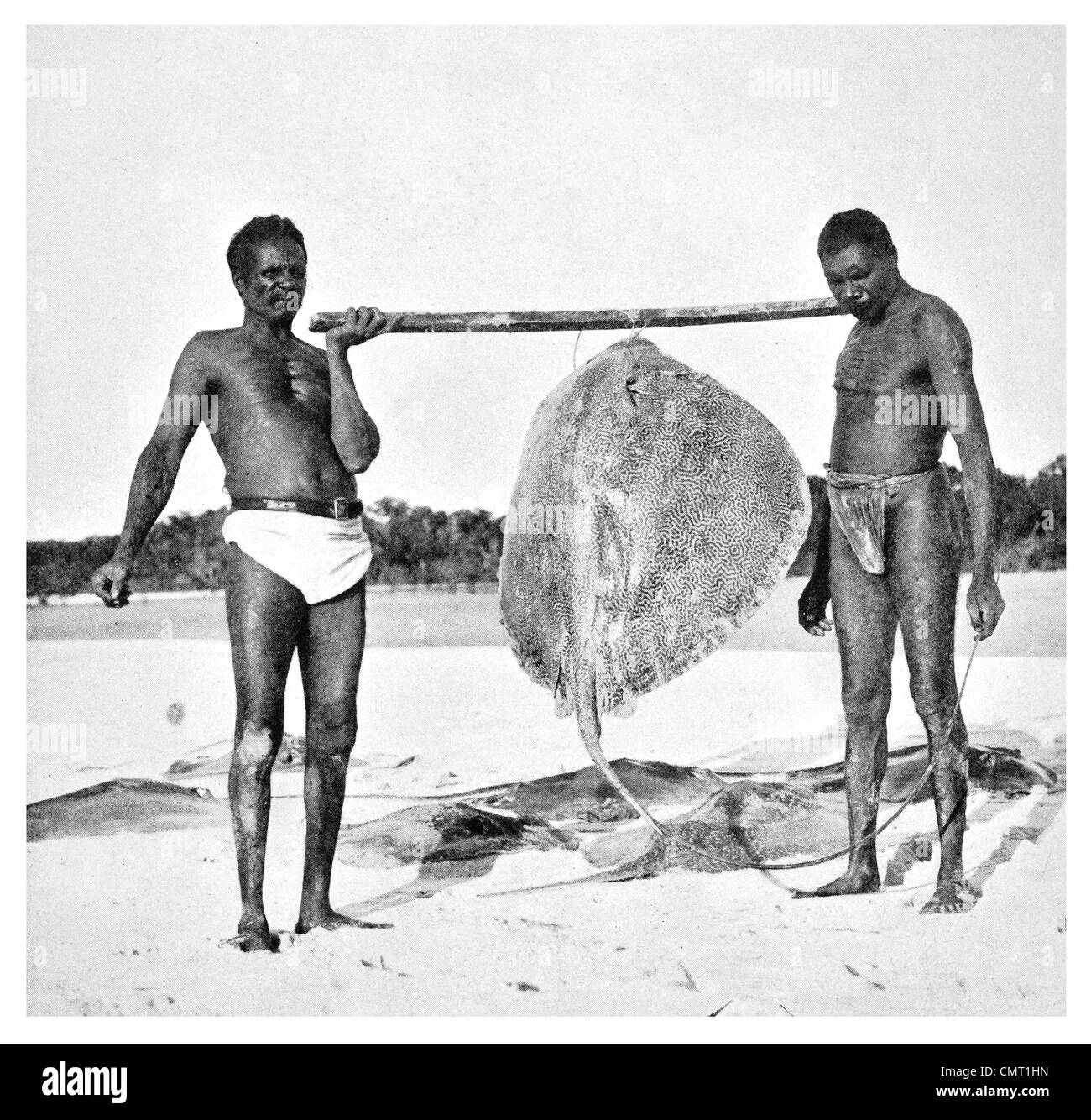 1924 Stingray Hunter autochtones de la côte nord-ouest de l'Australie Chordata chondrichthyes Banque D'Images