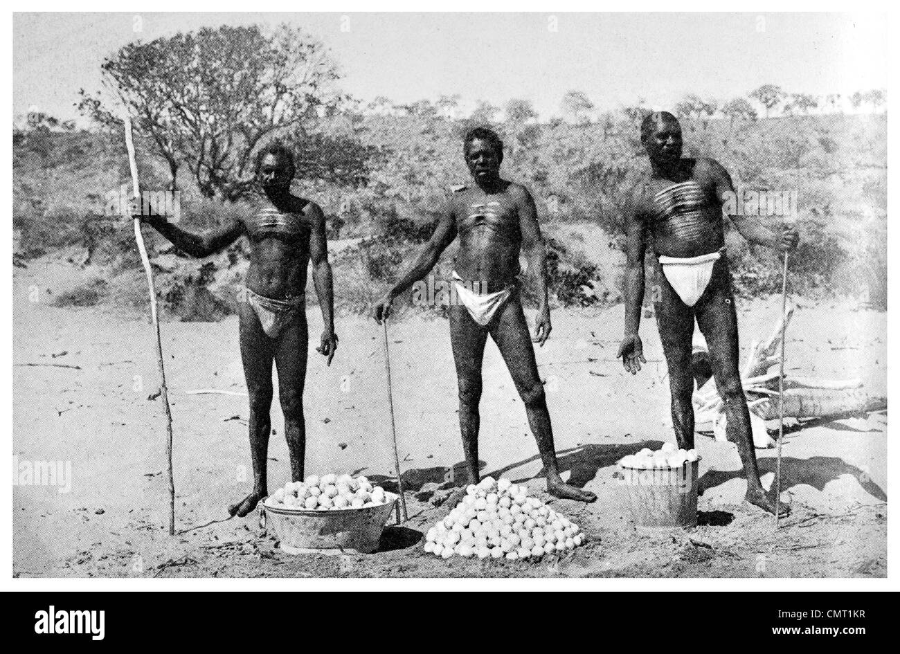 1924 Géant Autochtones noirs avec des Œufs de tortues en Australie Banque D'Images