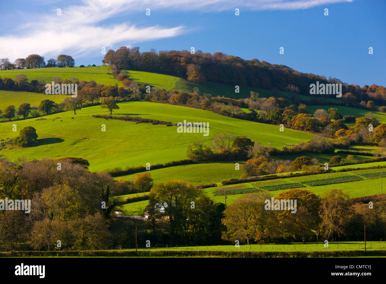 Les collines de la campagne du Devon Banque D'Images