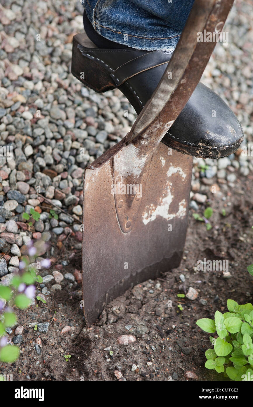Close-up of human foot creuser avec spade Banque D'Images