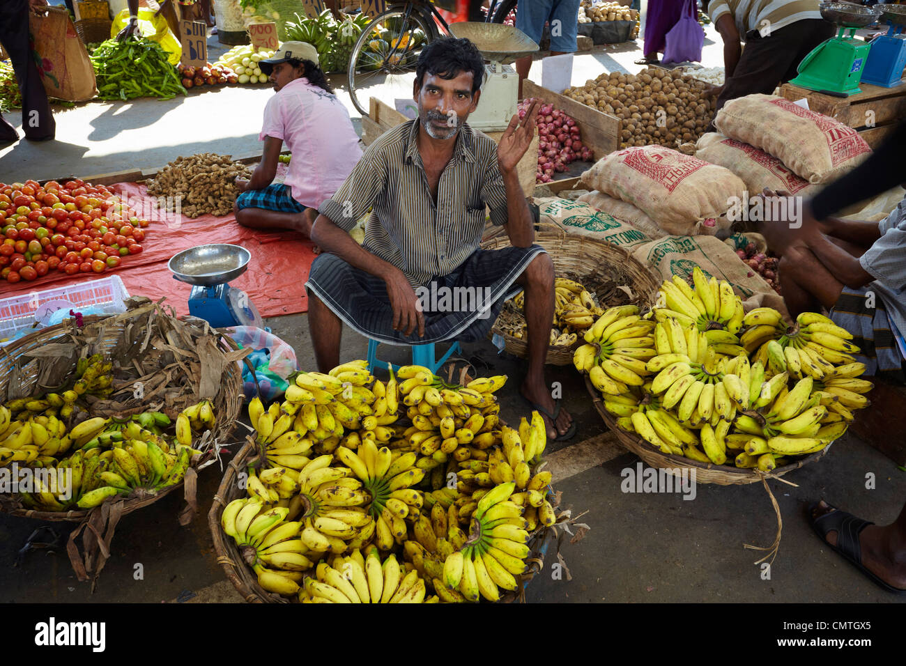 Sri Lanka - COLOMBO, les bananes vendeur de vendre des fruits au marché de la ville Banque D'Images