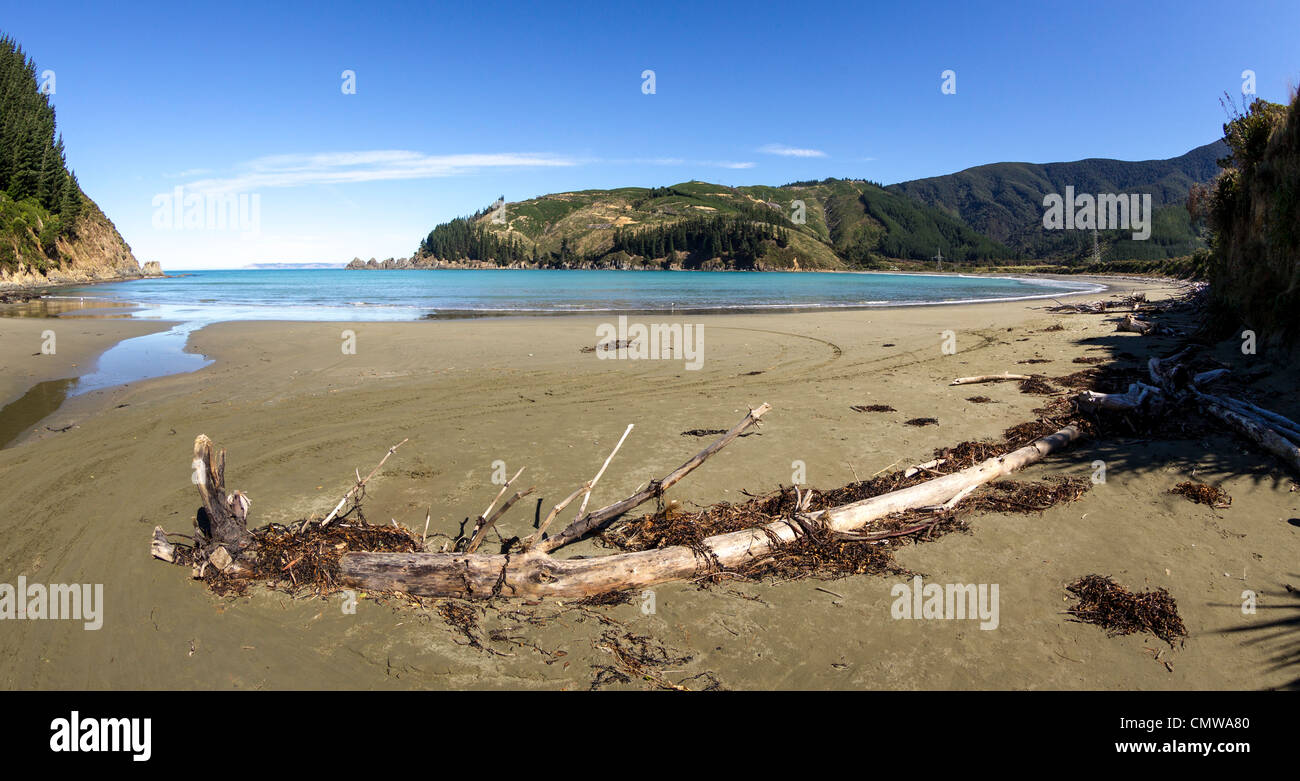 Plage de Robin Hood Bay dans le district de Marlborough, Nouvelle-Zélande, donnant sur Cloudy Bay Banque D'Images