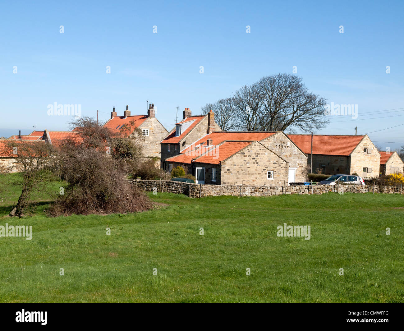 Pierre et les tuiles traditionnelles maisons de village en pays Ellerby près de Whitby, North Yorkshire Banque D'Images