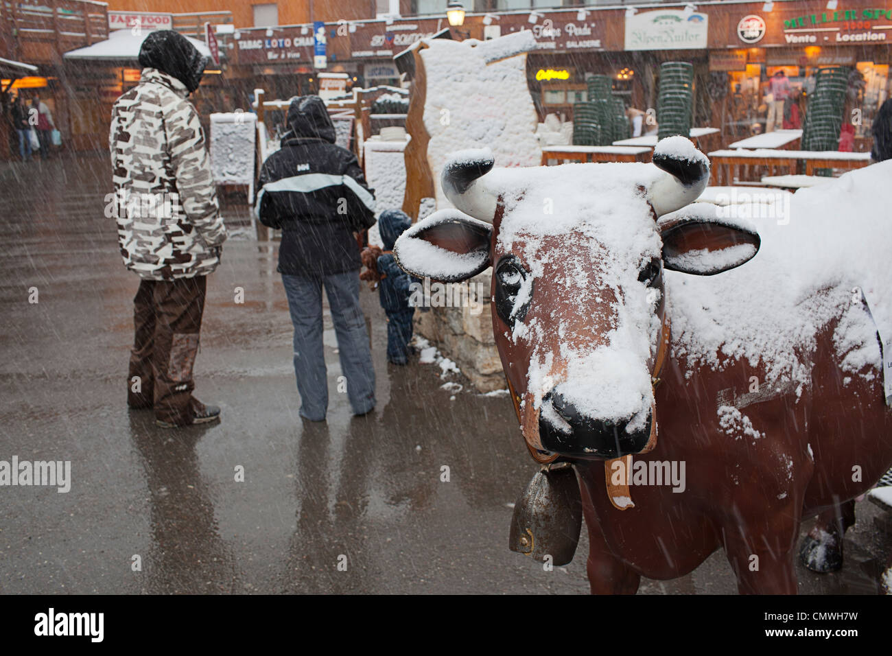 Mottaret cow dans la neige Banque D'Images