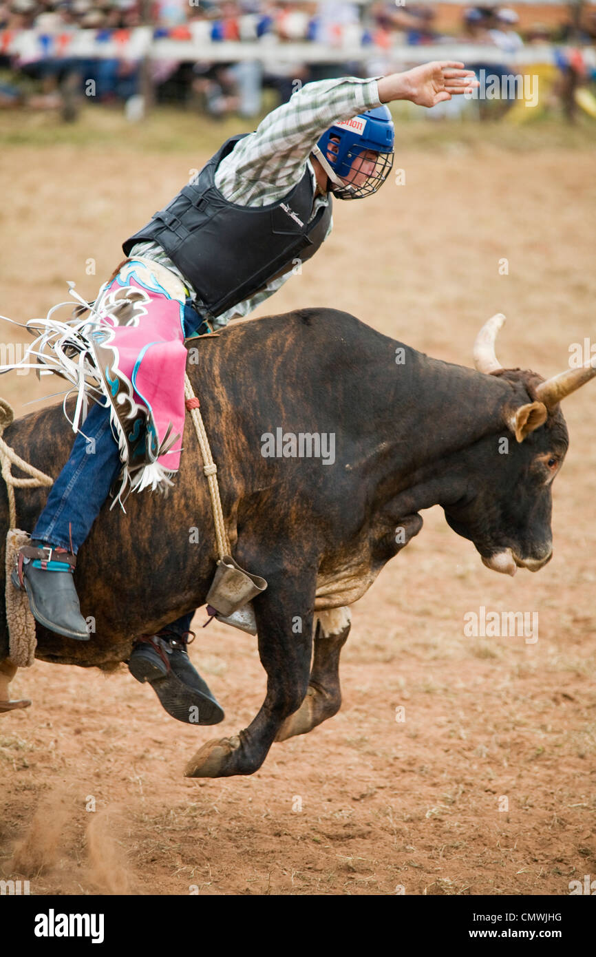 Bull rider en action au Mt Garnet Rodeo. Mt Garnet, Queensland, Australie Banque D'Images