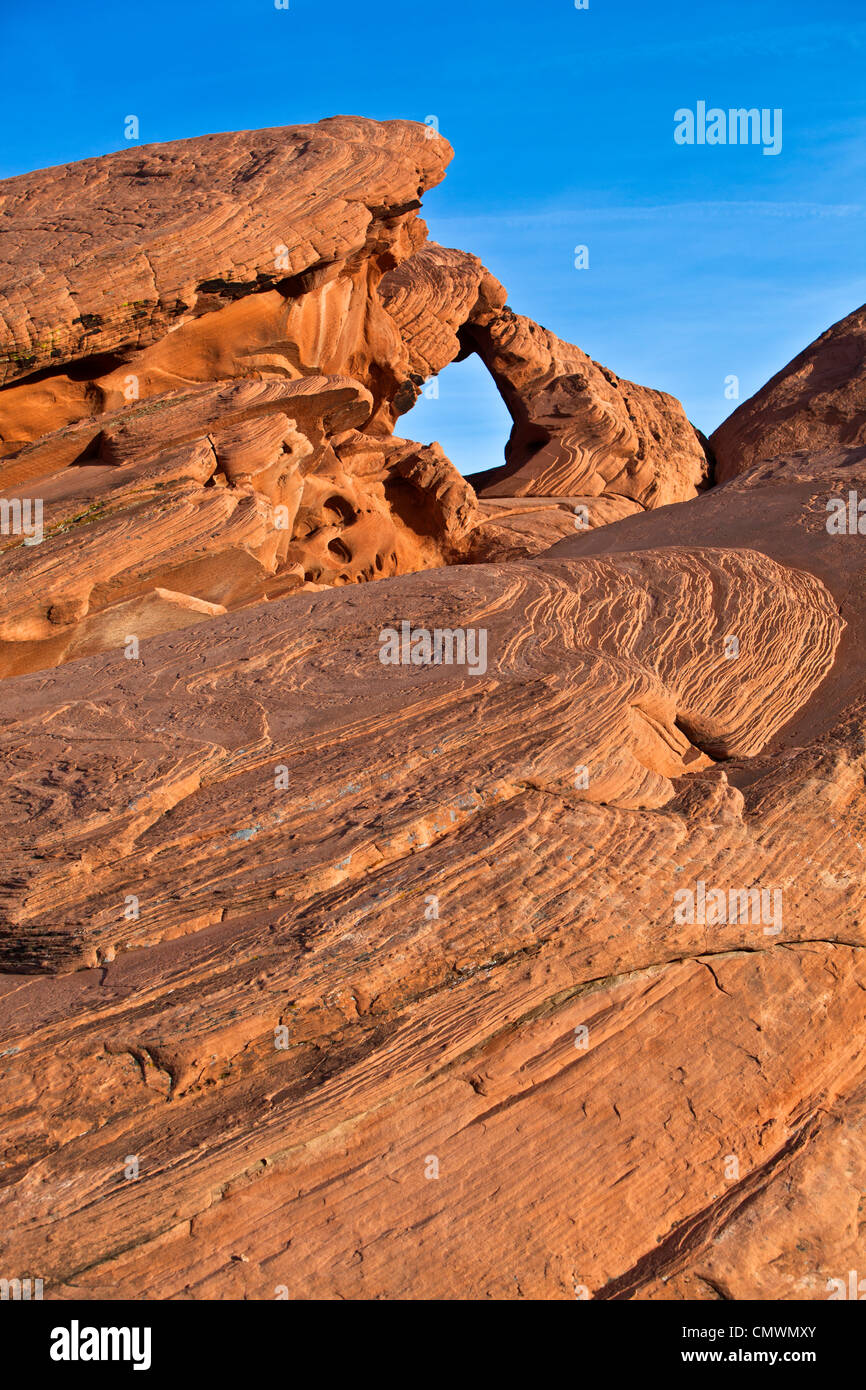 Des formations de roche de grès dans le Nevada's Valley of Fire Banque D'Images