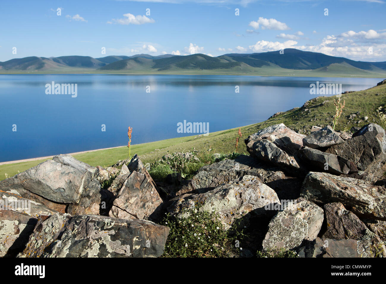 Paysage du Grand Lac Blanc (Terkhiin Tsagaan Nuur), la Mongolie Banque D'Images