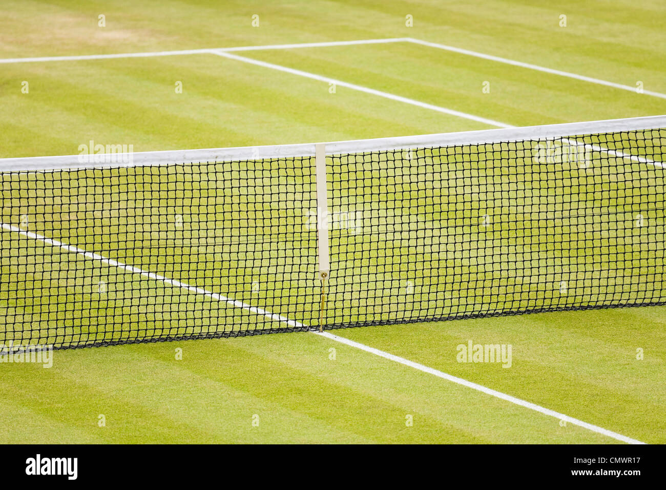 Libre d'un court de tennis sur gazon avec net et les lignes Banque D'Images