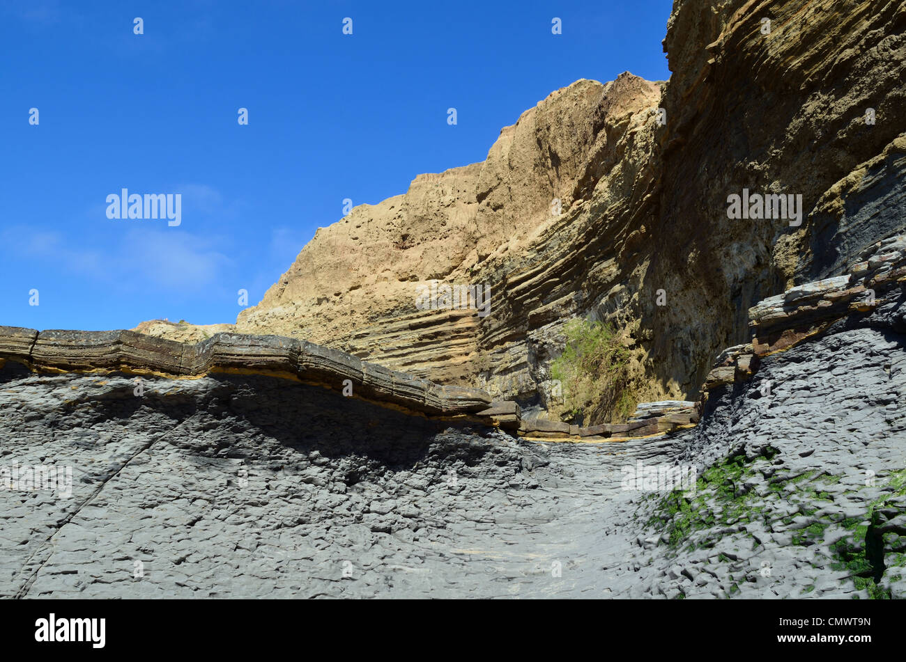 D'escarpements rocheux formé par l'érosion des vagues. La Jolla, Californie, USA. Banque D'Images