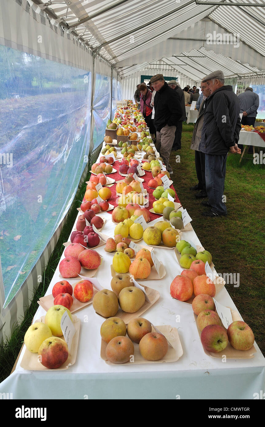 Exposition annuelle sur des pommes et poires à la maison de la pomme et de la poire à Barenton, Normandie, France. Banque D'Images