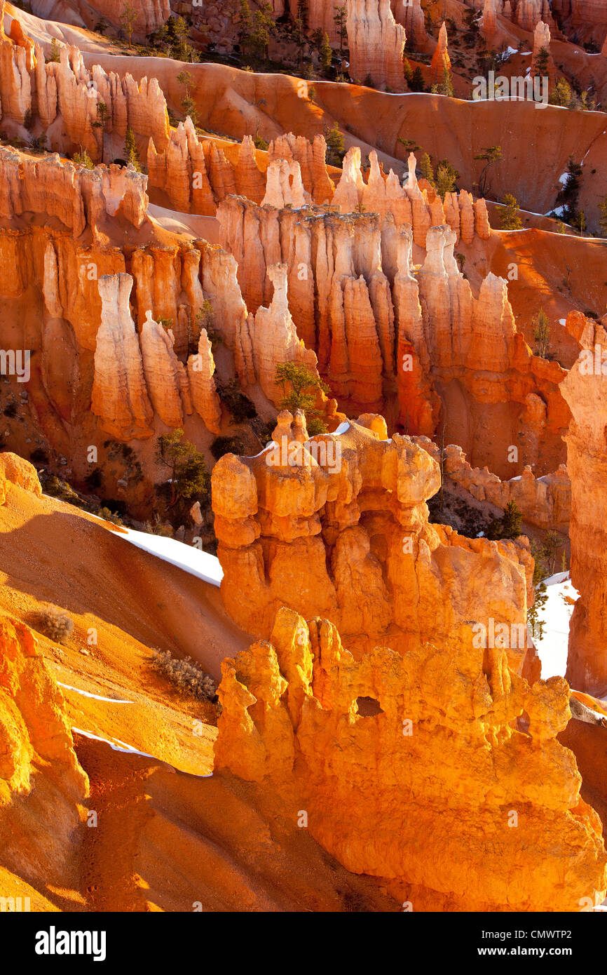 - Formations de roche, Hoodoos à Sunset Point, Bryce Canyon National Park, Utah USA Banque D'Images