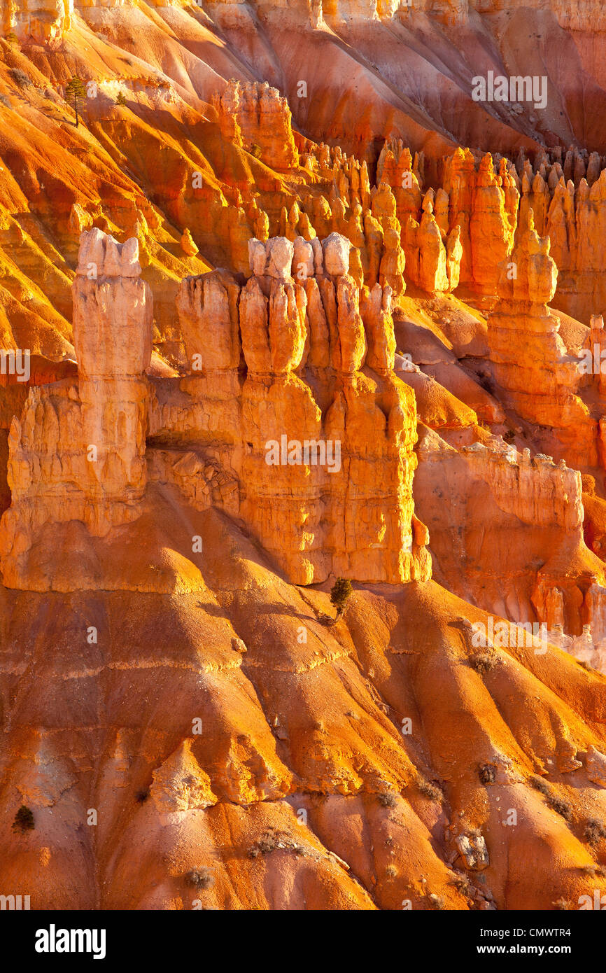 - Formations de roche, Hoodoos à Sunset Point, Bryce Canyon National Park, Utah USA Banque D'Images