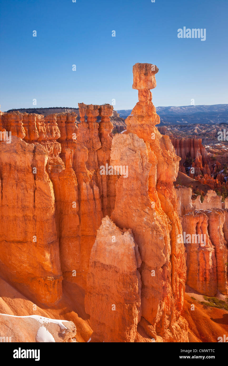 Thor's Hammer rock formation à Sunset Point, Bryce Canyon National Park, Utah USA Banque D'Images
