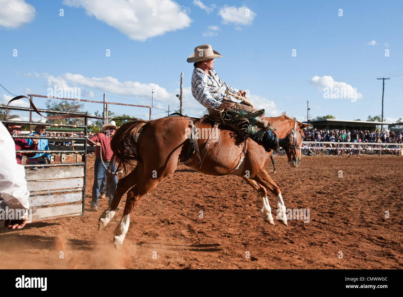 Saddle bronc rider en action au Mt Garnet Rodeo. Mt Garnet, Queensland, Australie Banque D'Images