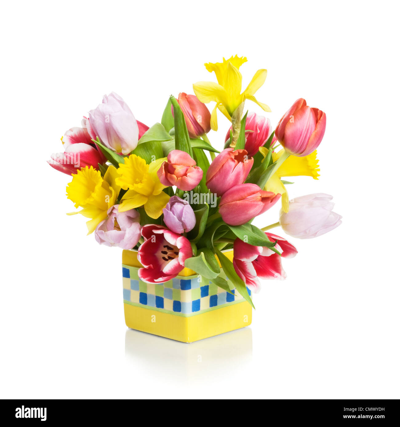 Pot de fleurs jaunes avec des tulipes et des jonquilles sur fond blanc Banque D'Images