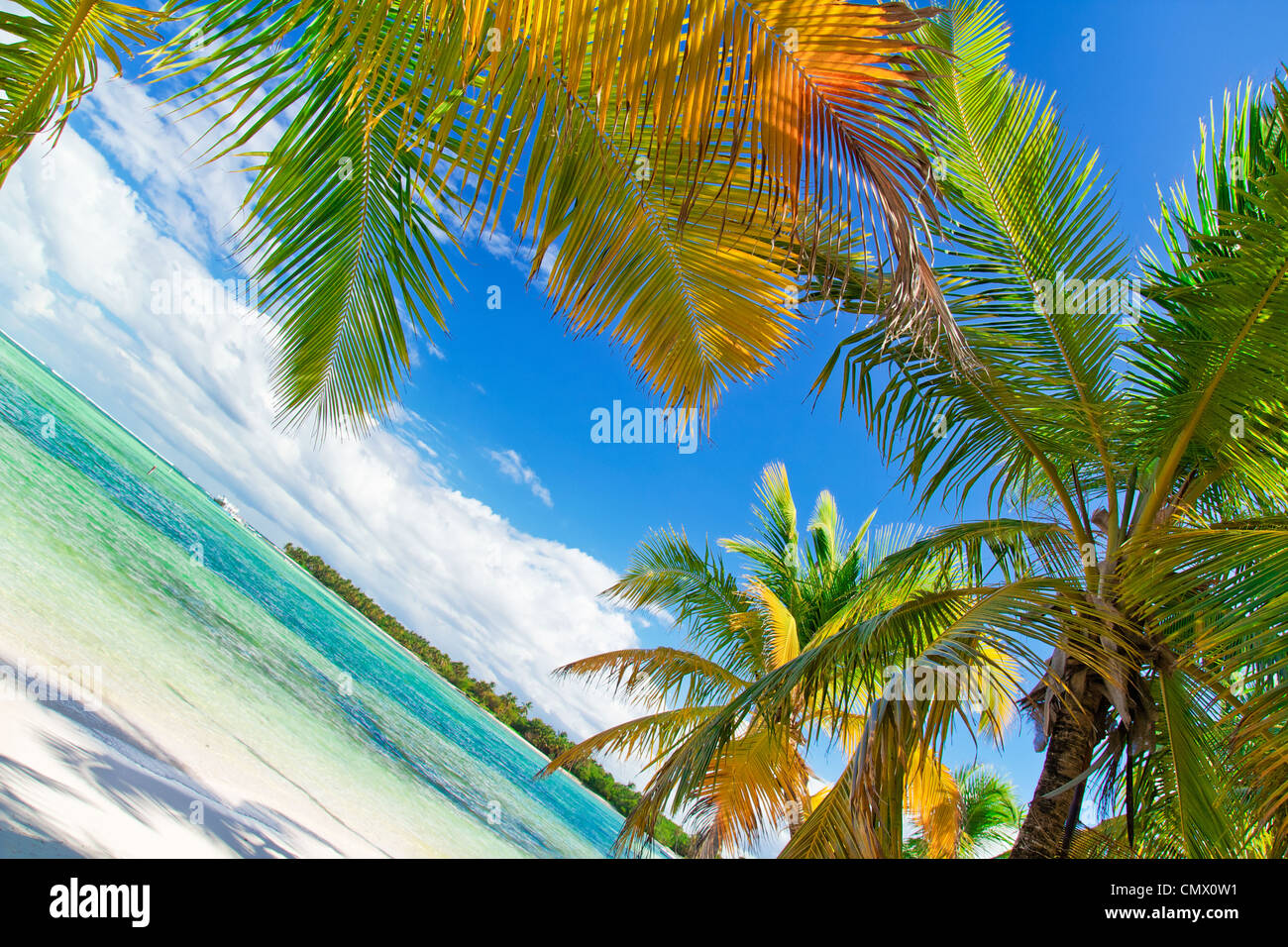 Plage tropicale de la mer des caraïbes, le paradis Banque D'Images
