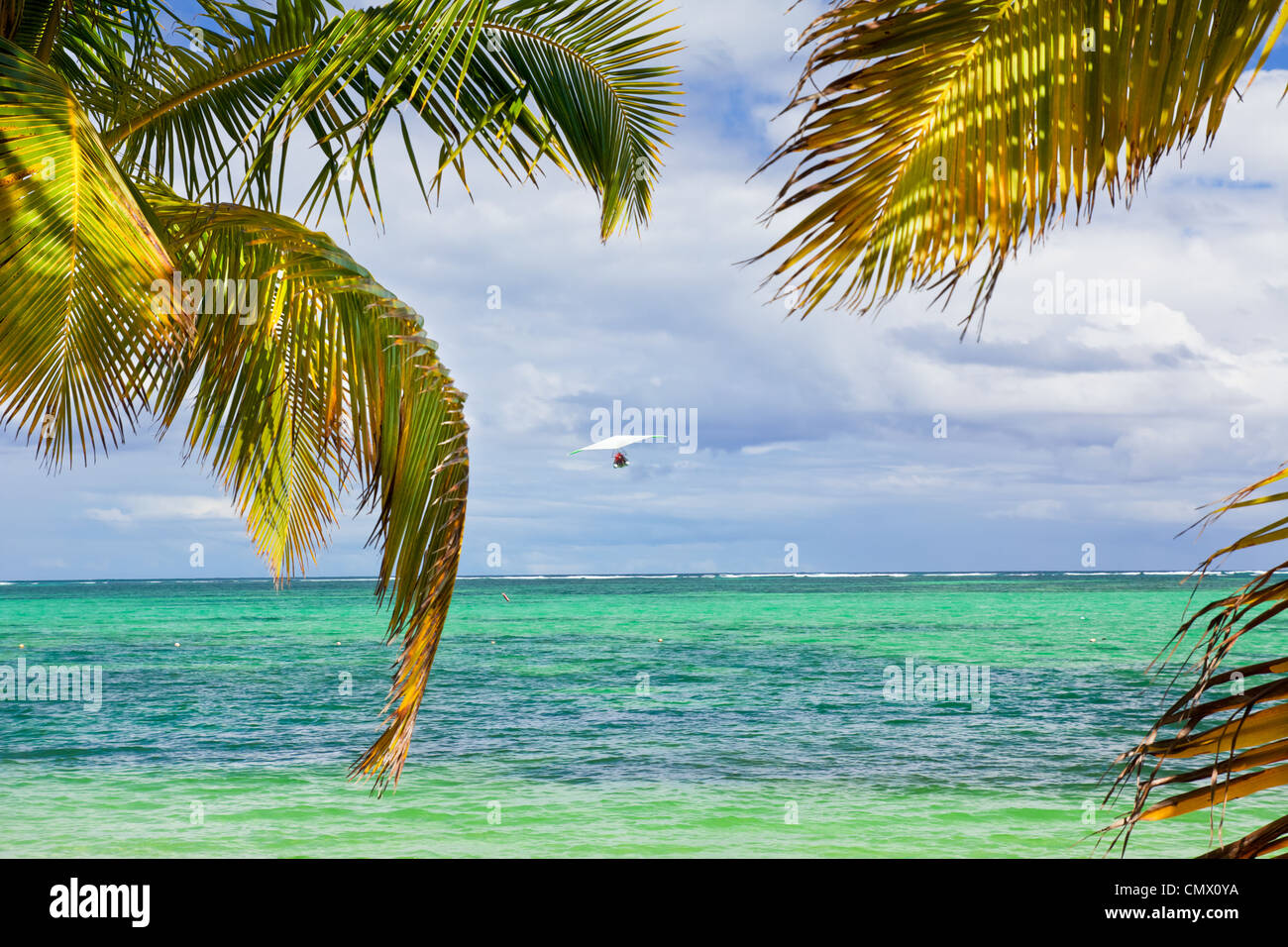 Planeur dans le ciel au-dessus de la mer des Caraïbes Banque D'Images