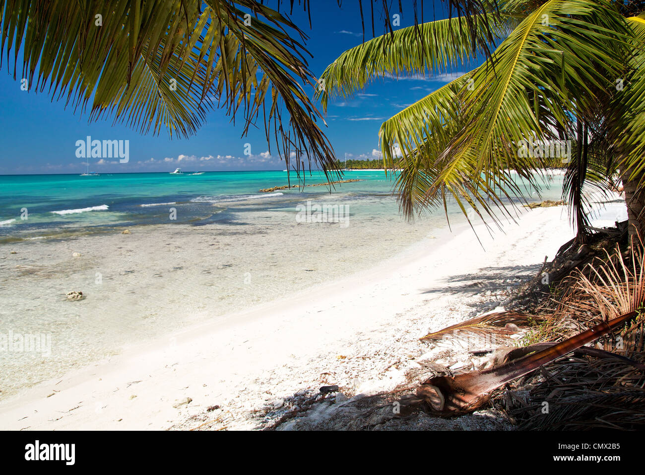 Lagune de la mer des Caraïbes avec des palmiers Banque D'Images