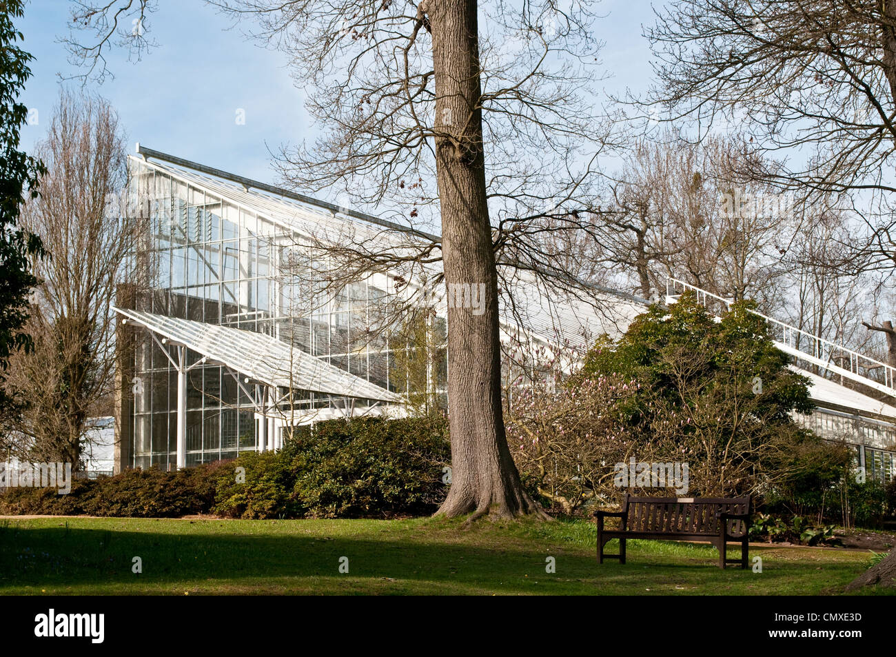 La reine Elizabeth Chambre tempérée, Savill Garden, Berkshire, England, UK Banque D'Images