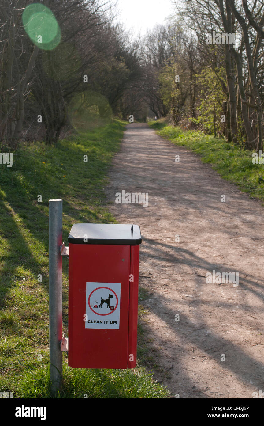 Corbeille chien, les lignes, Kippax Banque D'Images