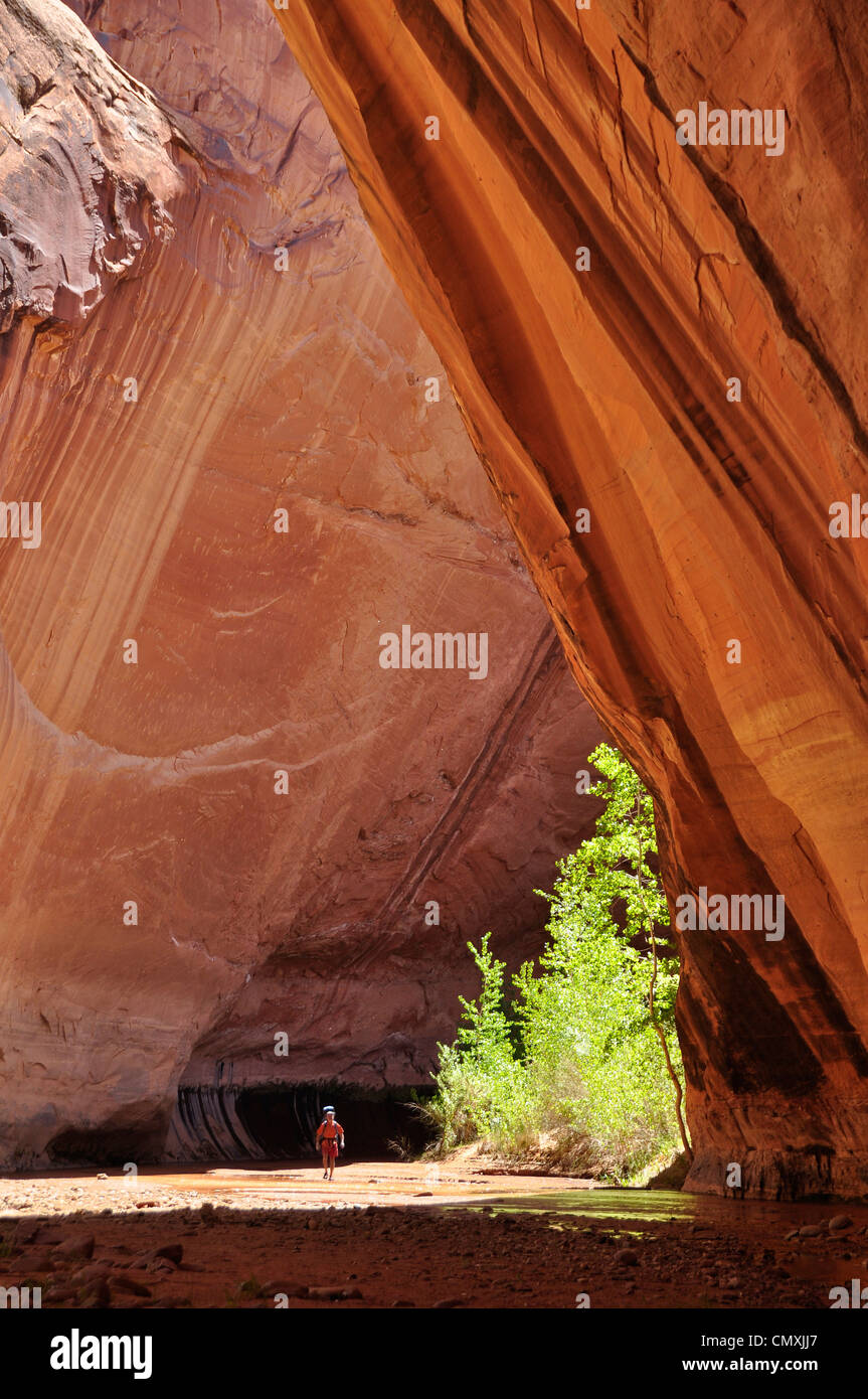 Backpacker Coyote Gulch, un affluent de l'Escalante River dans le sud de l'Utah. Banque D'Images