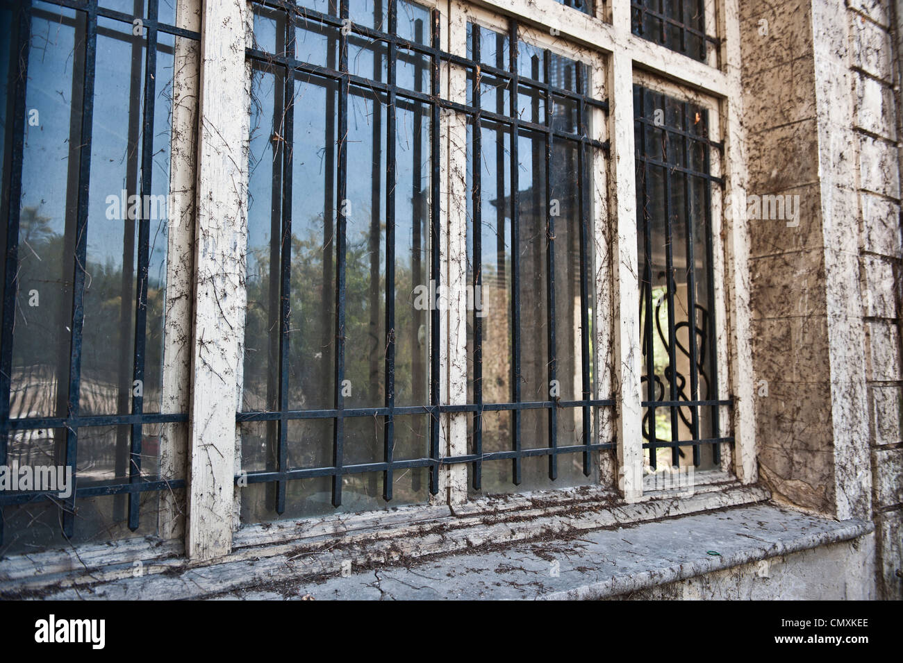 Arbres à la légère ce qui reflète à travers les fenêtres d'un bâtiment antique à Nice, France. Banque D'Images