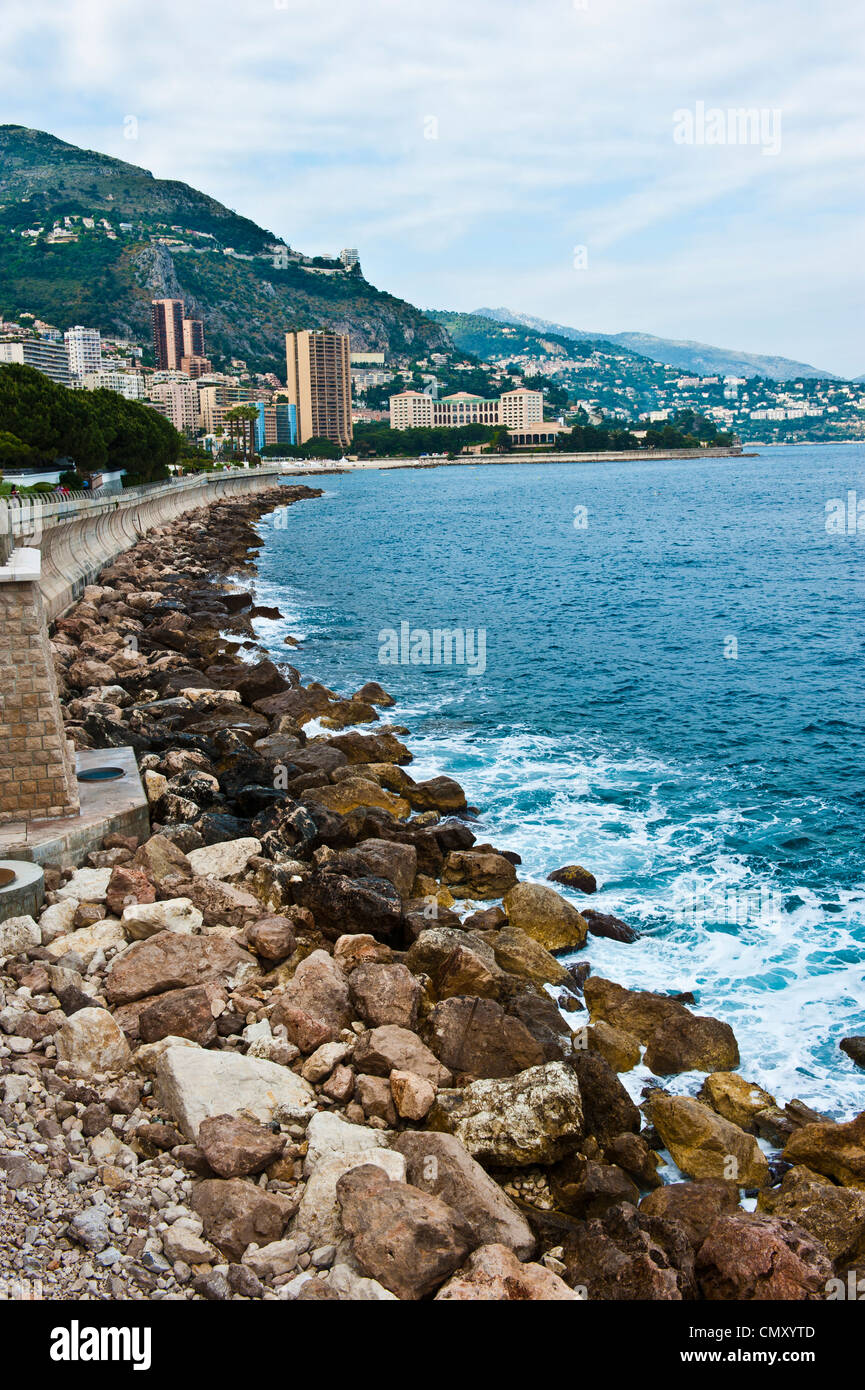 Les roches de l'océan algues vertes le long de la côte de la mer Méditerranée, à Monaco. Banque D'Images