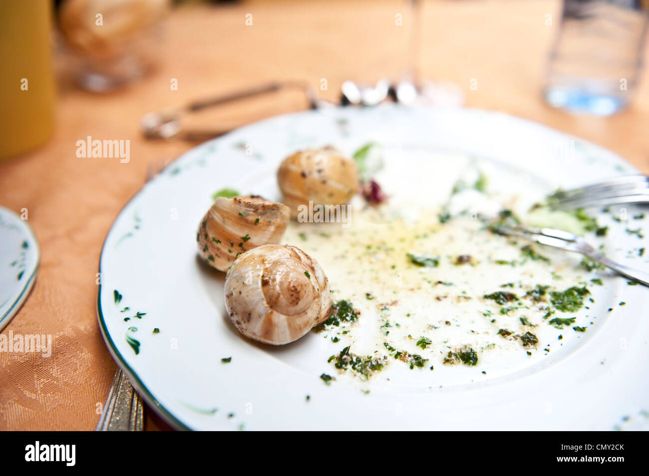 Gros plan d'un escargot presque terminé. Banque D'Images