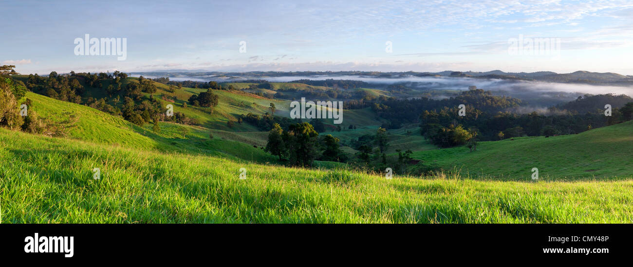 Pâturages vallonnés sur le plateau d'Atherton. Millaa Millaa, Queensland, Australie Banque D'Images