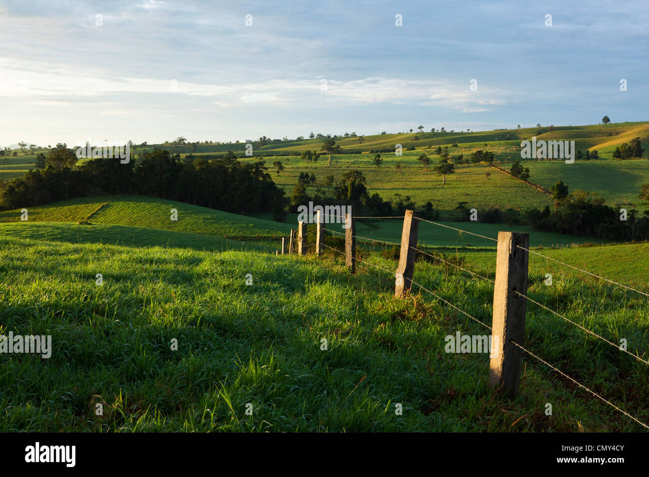 Fence s'étendant à travers terres agricoles vallonnées sur le plateau d'Atherton. Millaa Millaa, Queensland, Australie Banque D'Images
