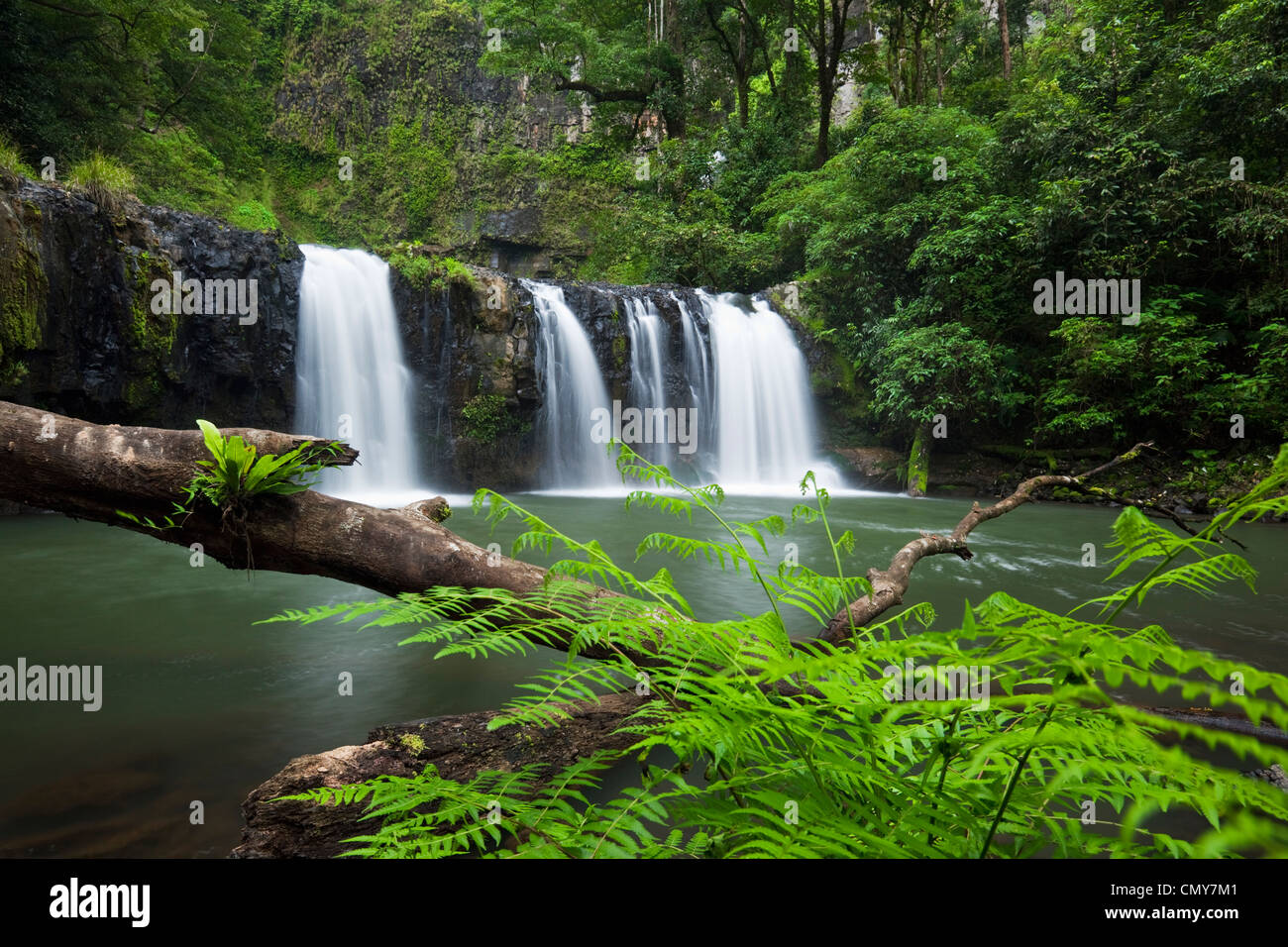 Nandroya Falls dans le Parc National de Wooroonooran, Innisfail, Queensland, Australie Banque D'Images
