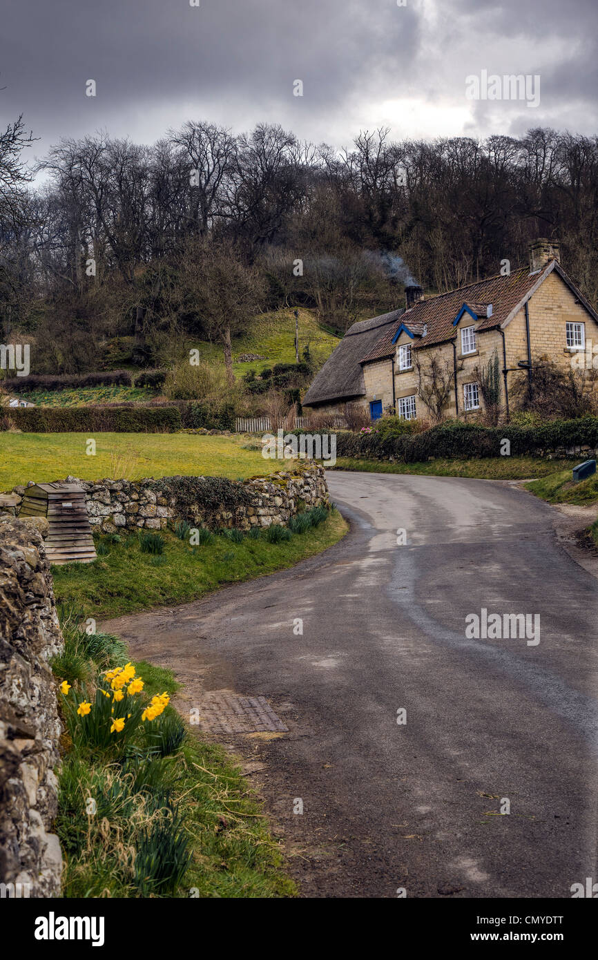 Les chalets et les jonquilles, Rievaulx, Yorkshire du Nord Banque D'Images