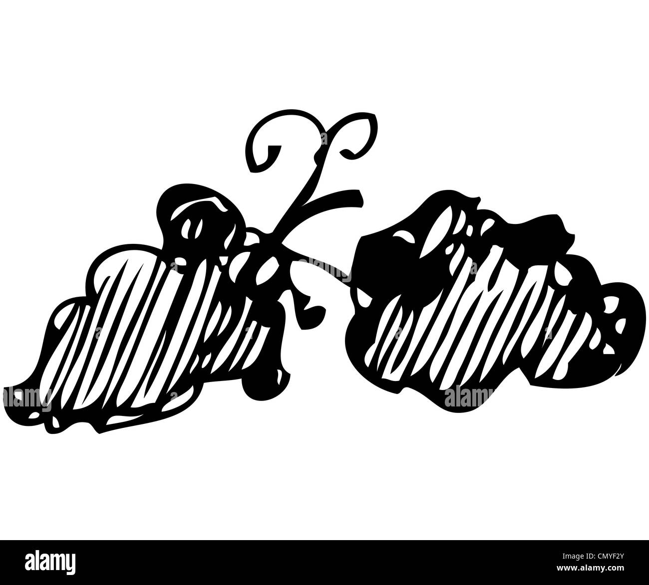 Le livre blanc de l'image d'une grappe de raisin sucré est noir Banque D'Images