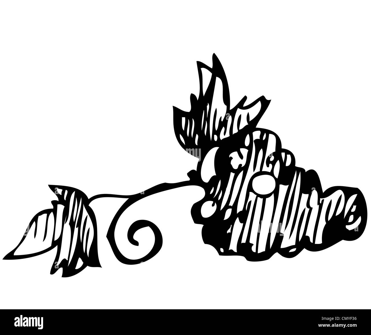 Le livre blanc de l'image d'une grappe de raisin sucré est noir Banque D'Images