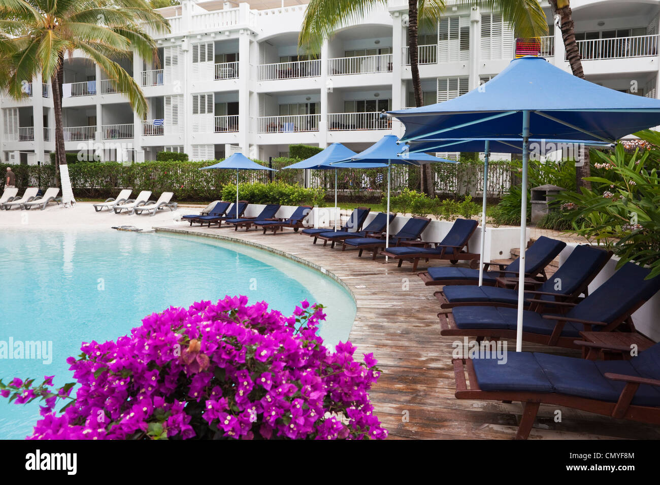 Piscine de la Beach Club Resort. Palm Cove, Cairns, Queensland, Australie Banque D'Images