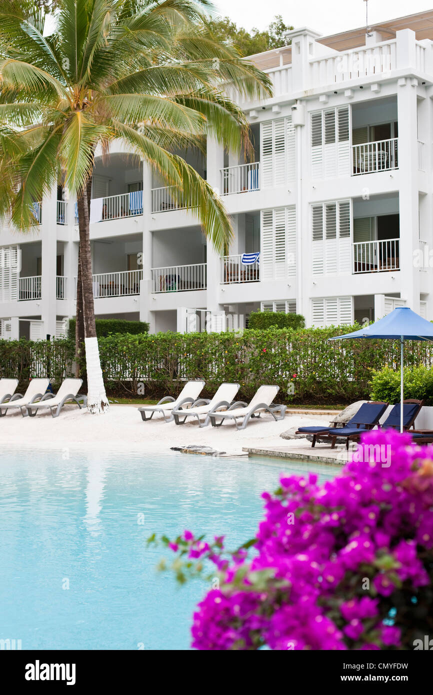 Piscine de la Beach Club Resort. Palm Cove, Cairns, Queensland, Australie Banque D'Images